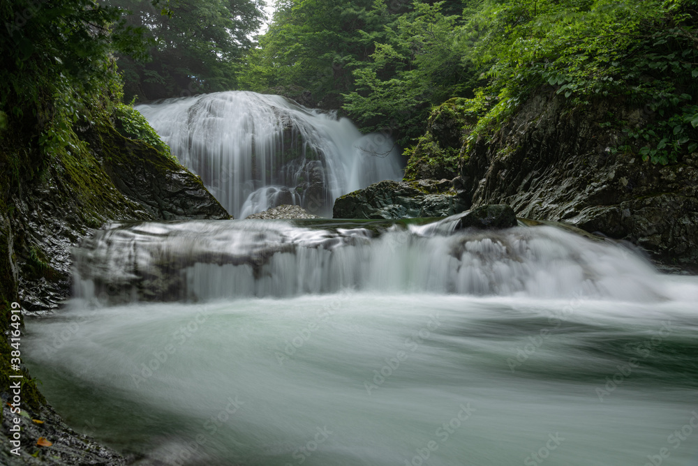 Fototapeta premium 関山大滝