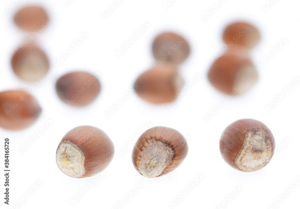 Hazelnuts isolated on a white background.