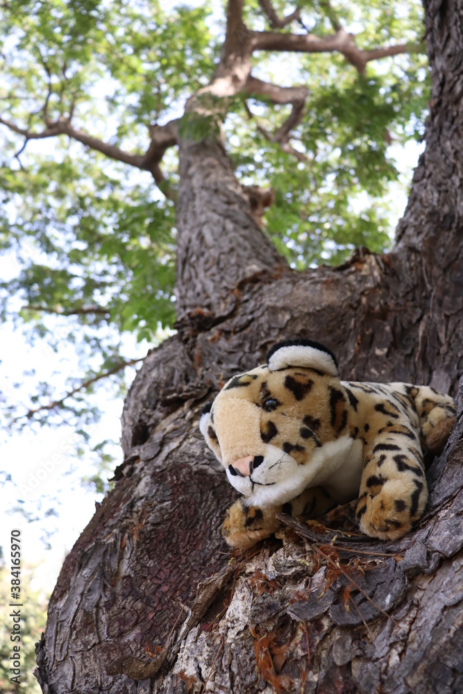leopard doll in tree