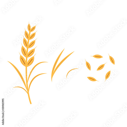 Rice vector on white background. oat vector. wallpaper.