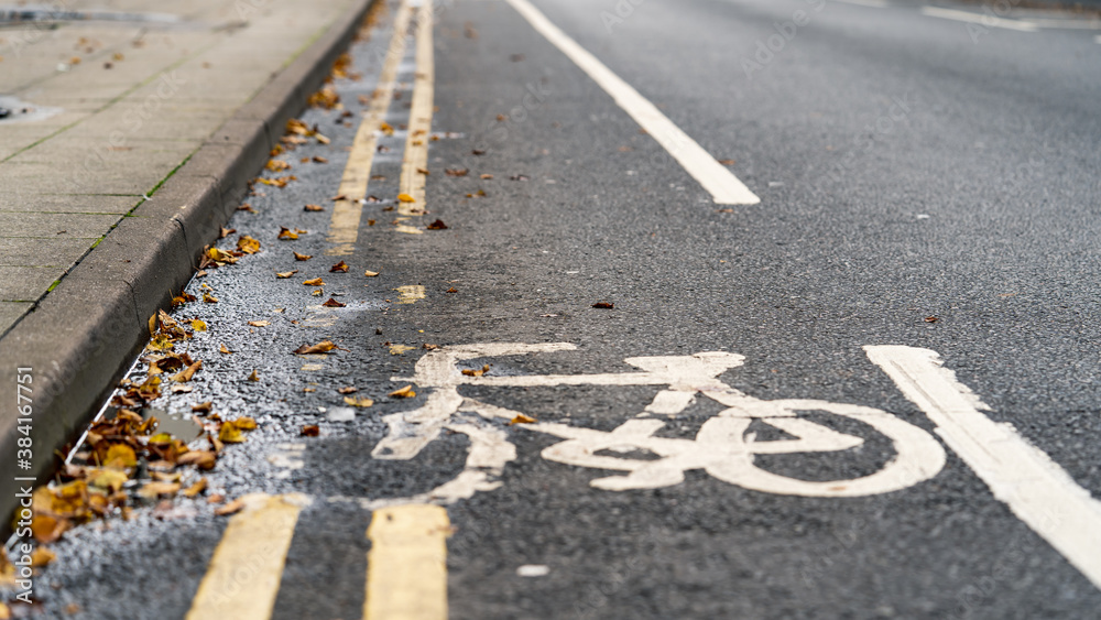 custom made wallpaper toronto digitalBicycle lane sign painted on road