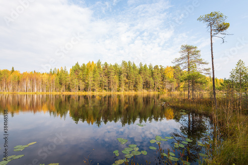 Small autumn lake in the taiga of the Arkhangelsk region, northern Russia