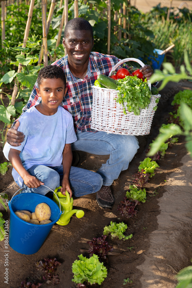 Fototapeta premium Happy family with harvest of vegetables in the garden. High quality photo