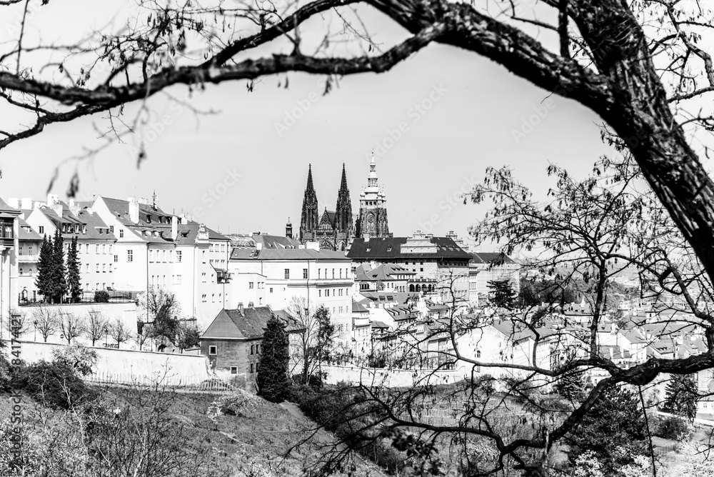 Obraz premium Spring in Prague. Blooming trees and lush greenery in Strahov Gardens with Prague Castle on background. Prague, Czech Republic