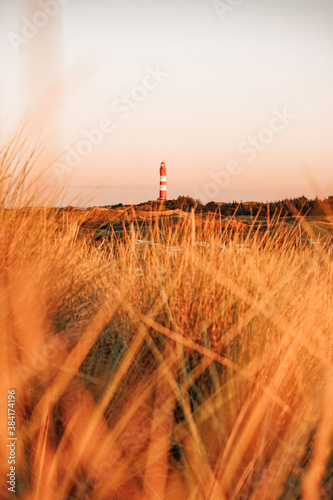 Orangener Sonnenaufgang in den D  nen von Amrum  Insel in Deutschland  mit Blick auf dem Amrumer Leuchtturm