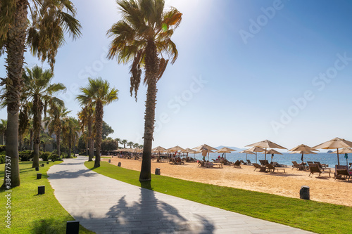 Fototapeta Naklejka Na Ścianę i Meble -  Palm trees in beautiful beach with sun umbrellas and Aegean sea in Turgutreis, Bodrum, Turkey 