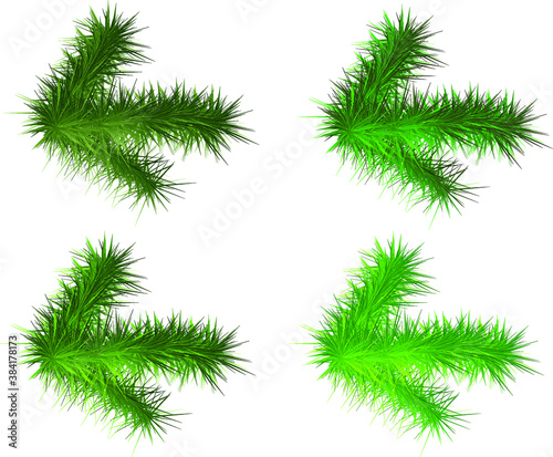 Set of four christmas pine wreath isolated on transparent background