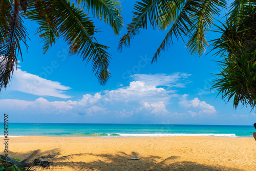 Fototapeta Naklejka Na Ścianę i Meble -  Tropical paradise white sand beach with coconut palms travel tourism background