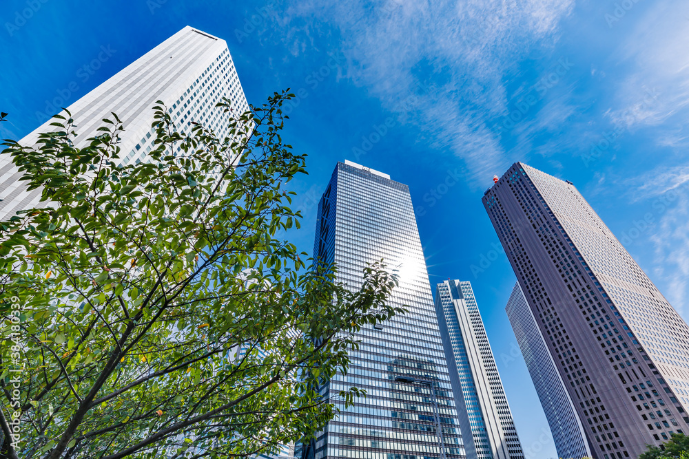新宿の高層ビル群と青空と木