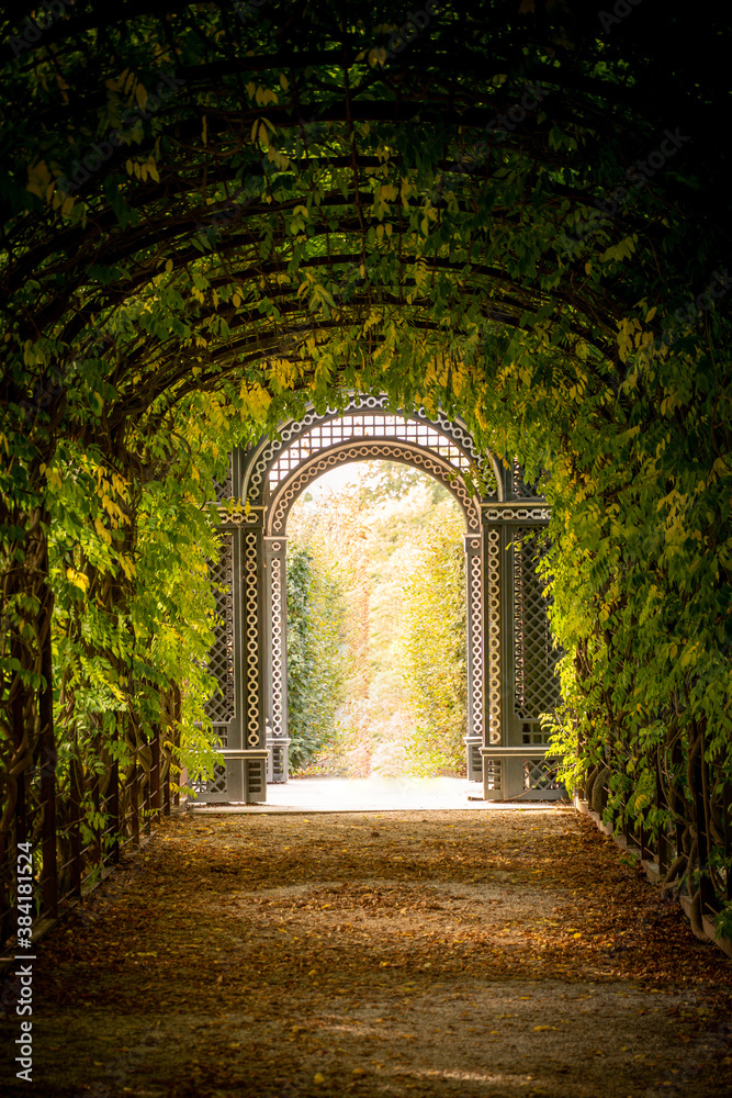 Fototapeta premium enchanted archway on an autumn day