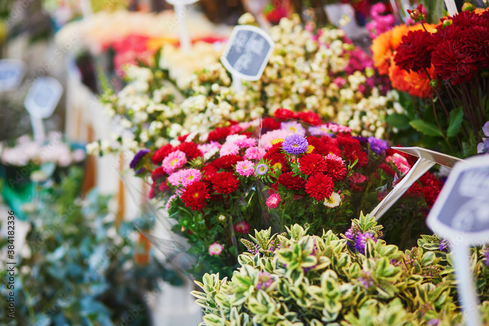 custom made wallpaper toronto digitalAsters for sale on local flower market in Paris