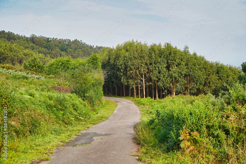 Road in the countryside