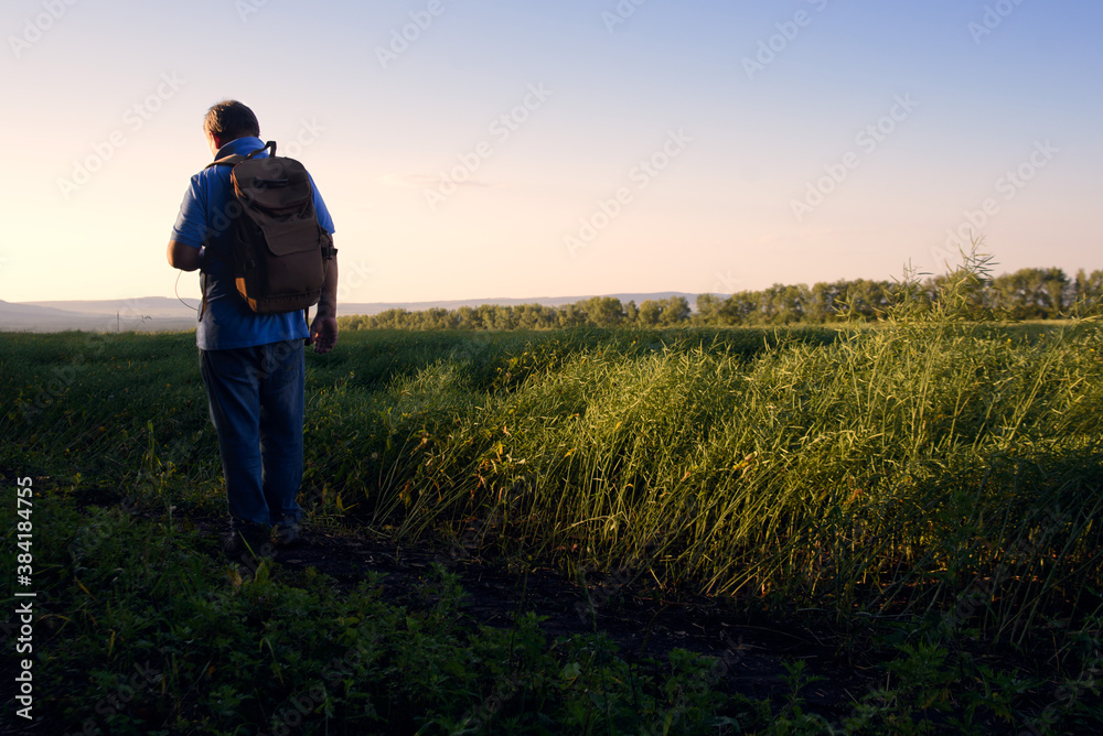 A man lit by the sun walks along the road along fields with rapeseed