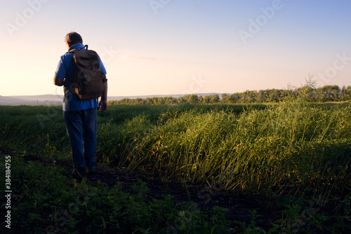 A man lit by the sun walks along the road along fields with rapeseed © Shchaeva Liudmila