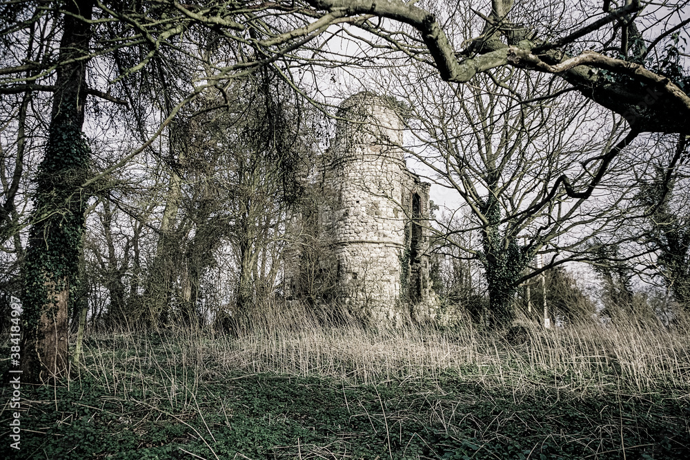 Old Castle Ruins in an English woodland Old Castle Ruins in an English woodland