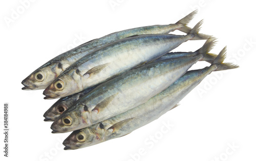 Round scad fish or mackerel scad isolated on white background