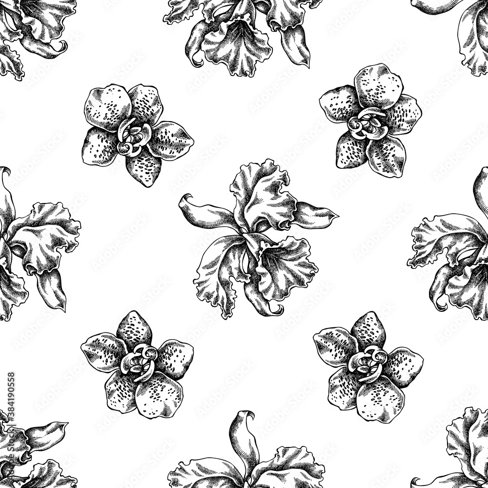 Seamless pattern with black and white orchid