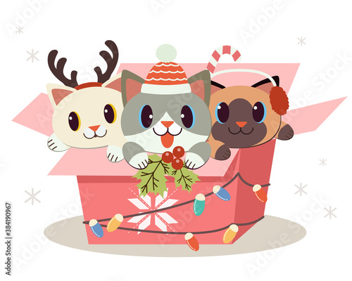 Fototapeta Naklejka Na Ścianę i Meble -  The character of cute dog and friends sitting in the gift box with flat vector style. illustation for christmas , birthday party.
