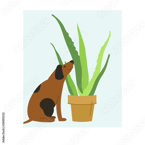 Dog sniffs scarlet flower - flat style illustration for kids room, home decoration and vet clinic.