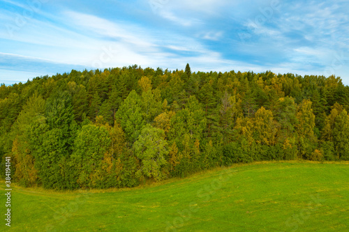 Autumn green forest, green field and blue sky. Nature landscape in Karelia
