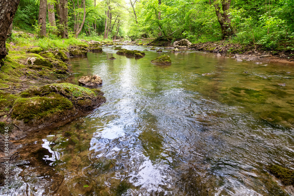 Obraz premium Mountain river Moravica