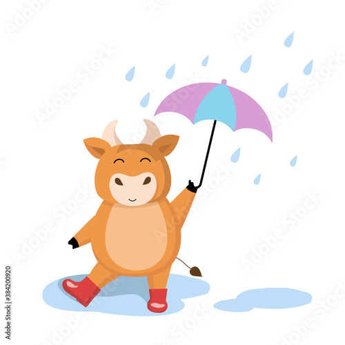 Little happy bull  stands in the rain in rubber boots under purple umbrella. Vector cartoon illustration isolated on white background