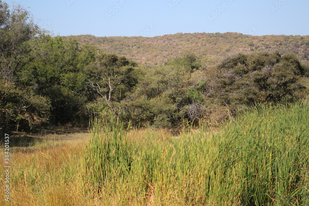 Photo Taken in Pilanesberg National Park.