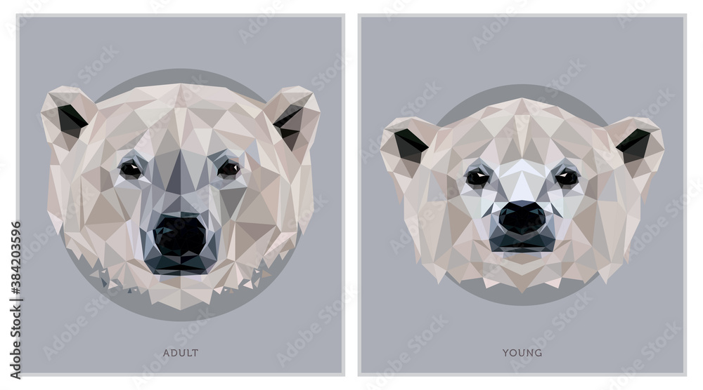 Obraz premium White Bear Polygonal Print Illustration