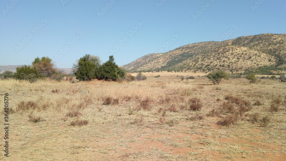 Photo Taken in Pilanesberg National Park.