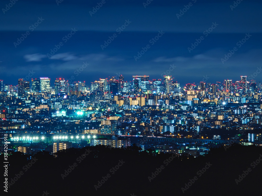 Fototapeta premium Osaka night city scape