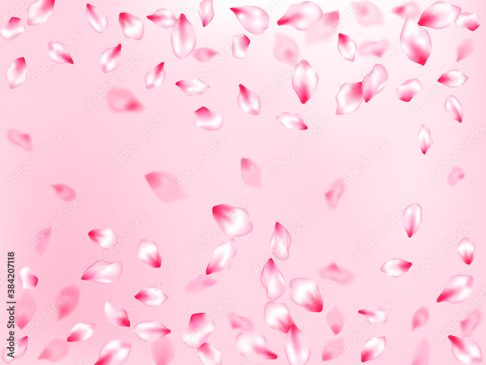 Pink sakura petals confetti flying and falling Pink sakura petals confetti flying and falling