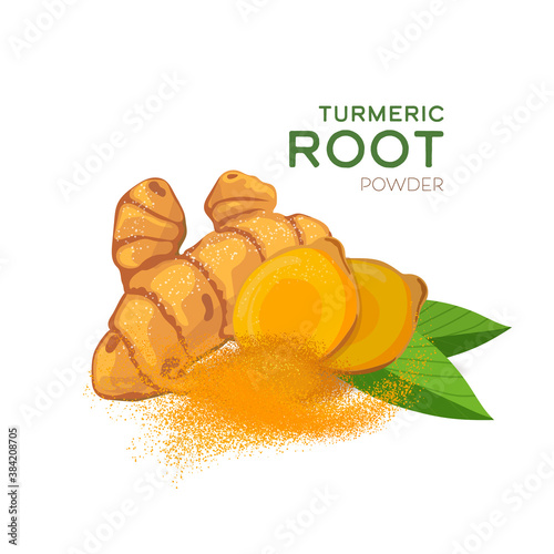 Turmeric root with green leaves isolated on white background vector illustration