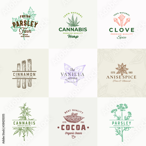 Premium Quality Herbs and Spices Vector Signs or Logo Templates Collection. Hand Drawn Parsley, Cannabis, Cinnamon, Vanilla and Cocoa Beans Sketches with Typography. Food Emblems Bundle.