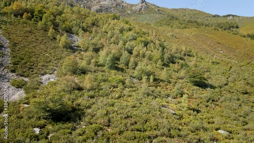 Aerial Beech Forest in Trekking Route. Green Forest Autumn and Fall. Healthy Environment. Asturias, Spain.