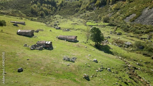 Circular Aerial Cow Livestock Valley in Trekking Route. Green grass and Healthy Environment. Asturias, Spain.