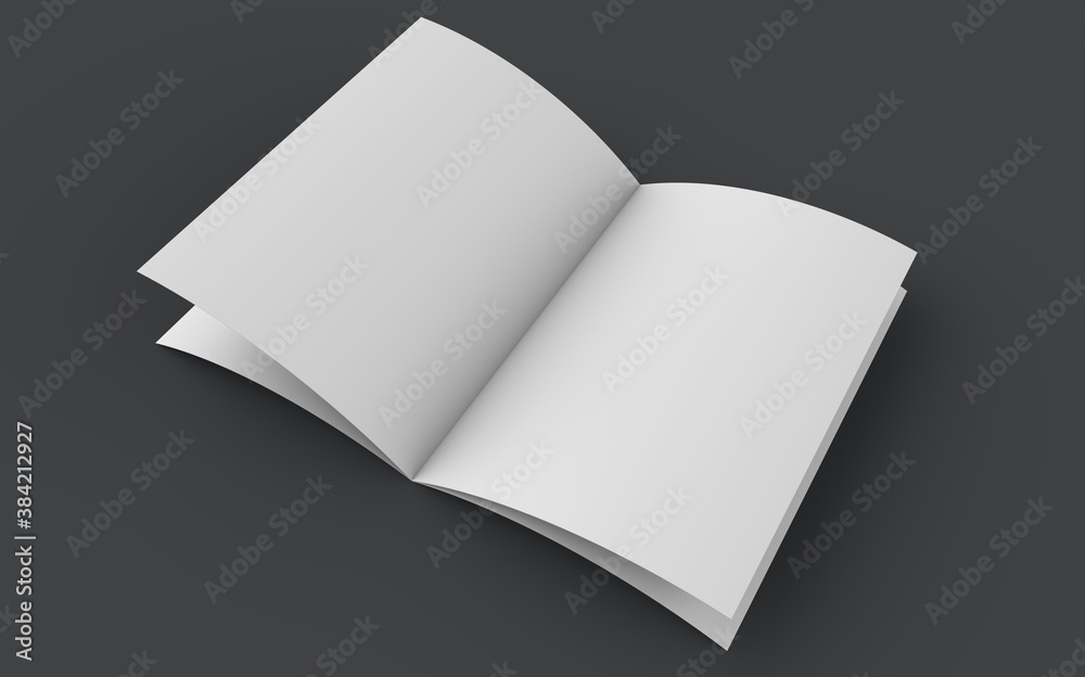 Fototapeta premium blank brochure template