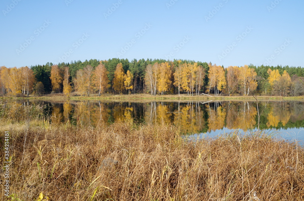 Autumn landscape with a river on a Sunny day