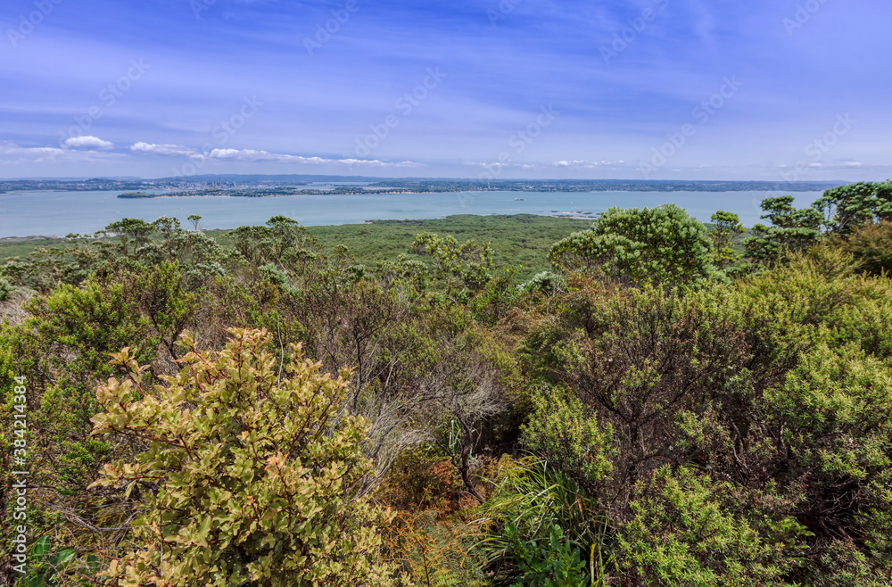 View of Auckland Region and Hauraki Gulf in New Zealand
