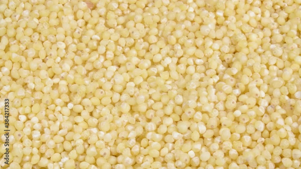 Pile millet close-up. 4K video. Super macro. Healthy food. Pile millet close-up. 4K video. Super macro. Healthy food.