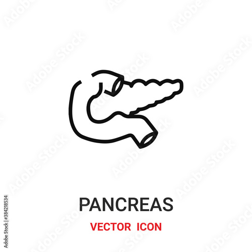 pancreas icon vector symbol. pancreas symbol icon vector for your design. Modern outline icon for your website and mobile app design. photo