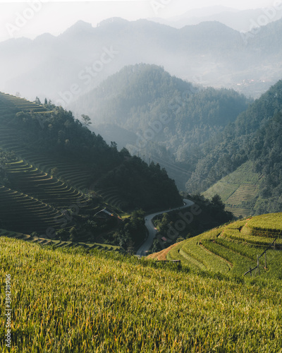 The astounding rice terraces of Vietnam photo