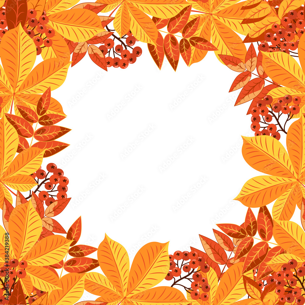Autumn colorful square frame of leaves. Autumn yellow foliage of trees, red rowan berries, collected in a frame.