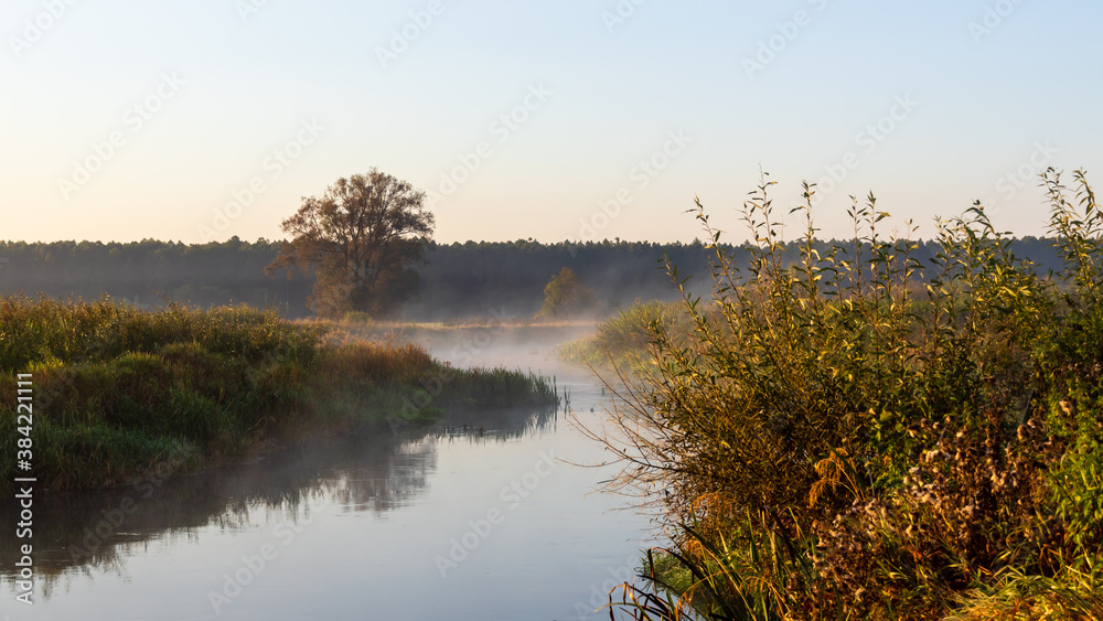 Poranne mgły Dolinie Narwi,Podlasie, Polska Poranne mgły Dolinie Narwi,Podlasie, Polska