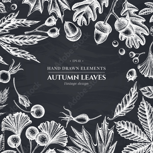 Monochrome design with chalk fern, dog rose, rowan, ginkgo, maple, oak, horse chestnut, chestnut, hawthorn