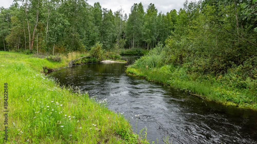 River in Karelia surrounded by forest, Russia, Karelia, August 2020 River in Karelia surrounded by forest, Russia, Karelia, August 2020