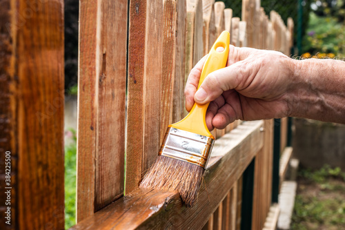 Painting wooden fence at backyard