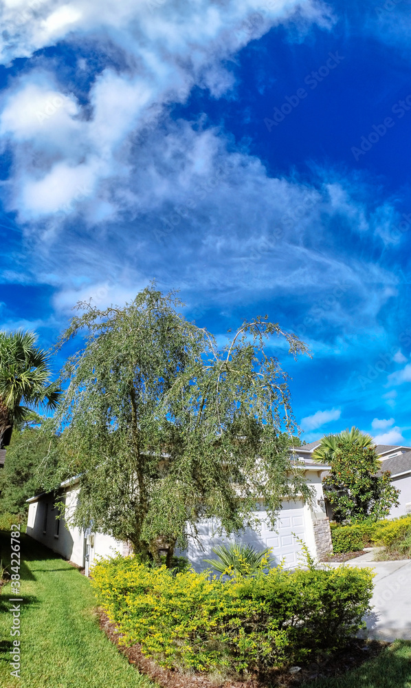 The Autumn landscape of New Tampa, Florida: beautiful cloud and blue sky	