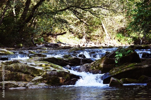 Fototapeta Naklejka Na Ścianę i Meble -  waterfall in the forest poland, bieszczady region