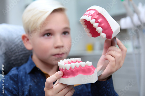The boy examines the layout of teeth. Reception at the children's dentist. The concept of health and disease prevention. The child's face is out of focus.