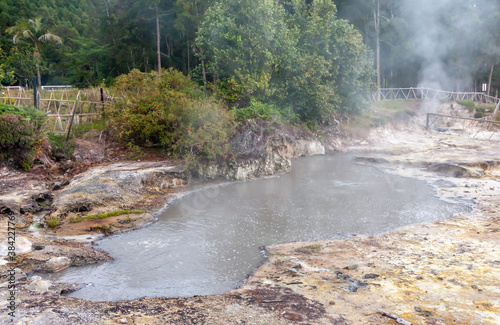 boiling lake, hot sulfur spring in the middle of a green forest